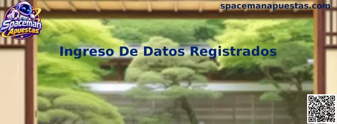 Ingreso de datos registrados para acceder de forma segura a una cuenta de Spaceman Apuestas